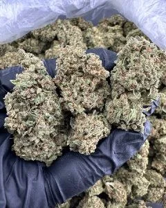 AK-47 Weed