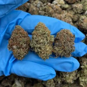 AK-47 Weed