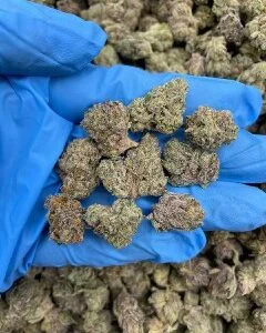 Skywalker OG