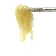 Guava Dawg Live Rosin