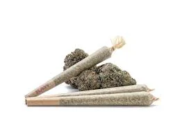 0.5g Pre-Rolled Joint – Gorilla Glue