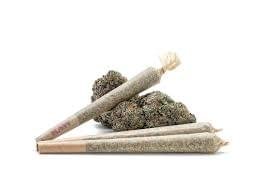 0.5g Pre-Rolled Joint – Gorilla Glue